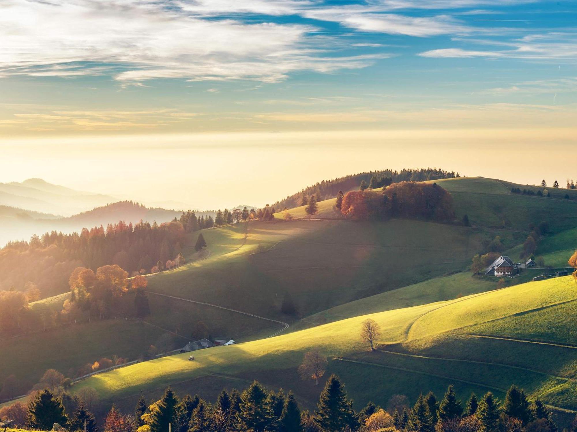 Relaxapartments Black Forest Diamond Direkt An Der Hornberger Freilichtbuehne - Sonnenterrasse Mit Blick Auf Das Hornberger Schloss, Schnelles Internet, Fuer Bis Zu 2 Personen Zewnętrze zdjęcie