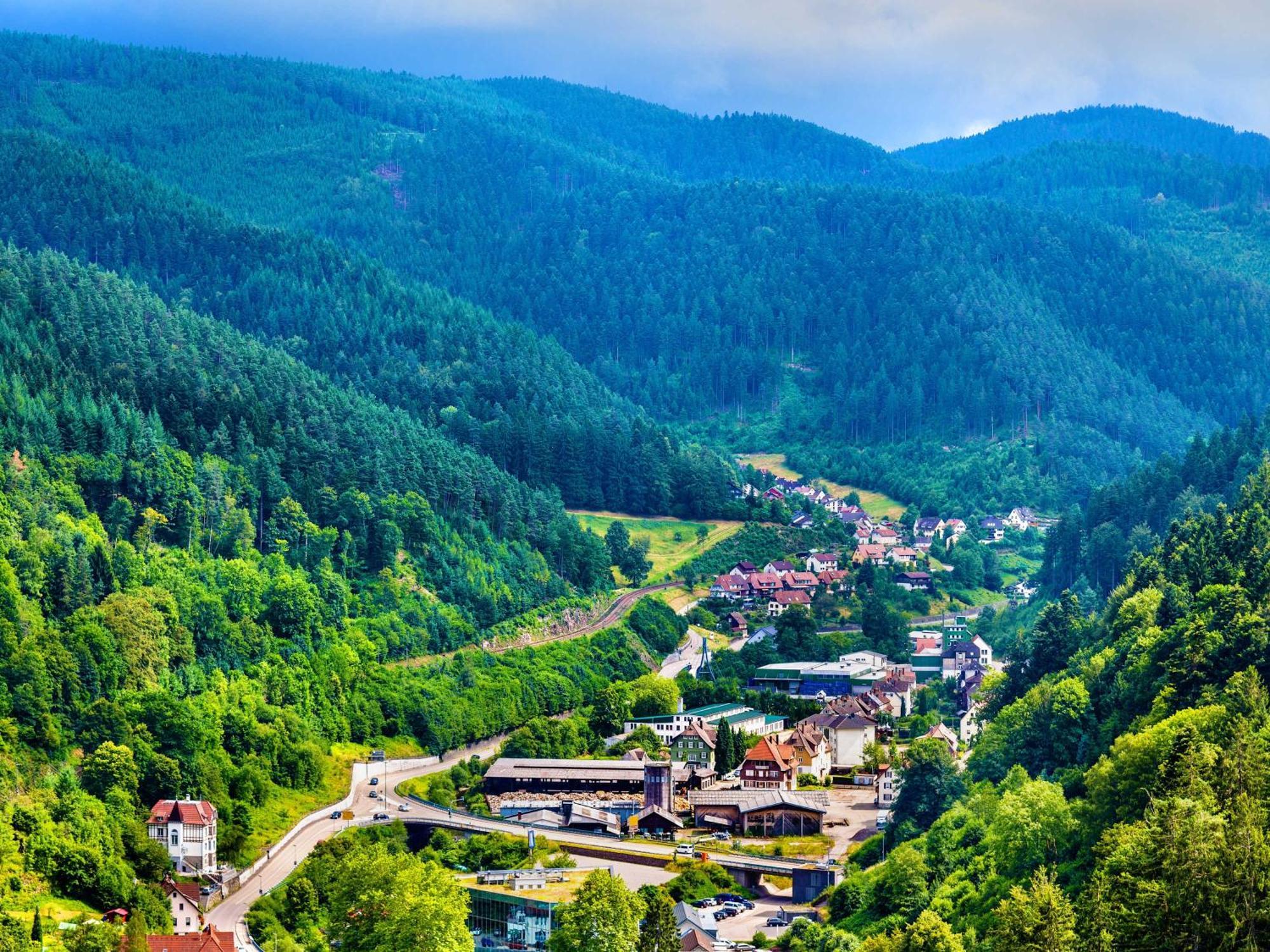 Relaxapartments Black Forest Diamond Direkt An Der Hornberger Freilichtbuehne - Sonnenterrasse Mit Blick Auf Das Hornberger Schloss, Schnelles Internet, Fuer Bis Zu 2 Personen Zewnętrze zdjęcie