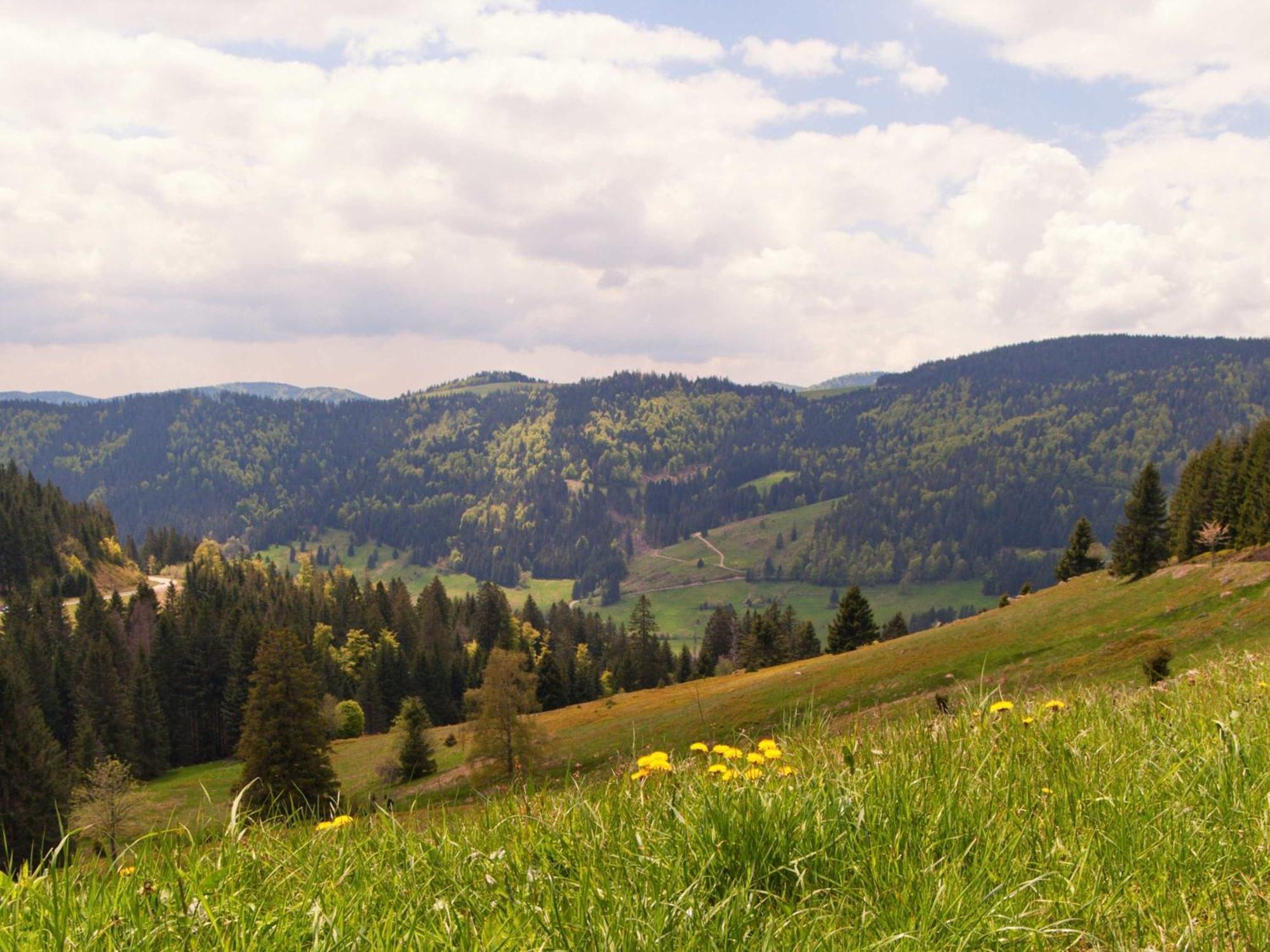 Relaxapartments Black Forest Diamond Direkt An Der Hornberger Freilichtbuehne - Sonnenterrasse Mit Blick Auf Das Hornberger Schloss, Schnelles Internet, Fuer Bis Zu 2 Personen Zewnętrze zdjęcie